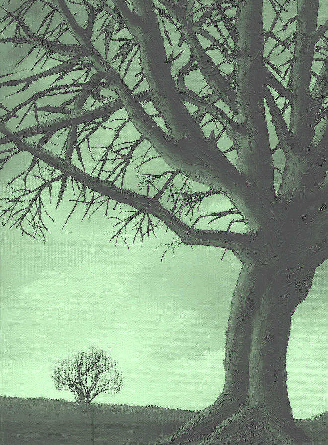 Agradezco a Emilio Daniel Silva Segura por permitirme el uso de esta imagen