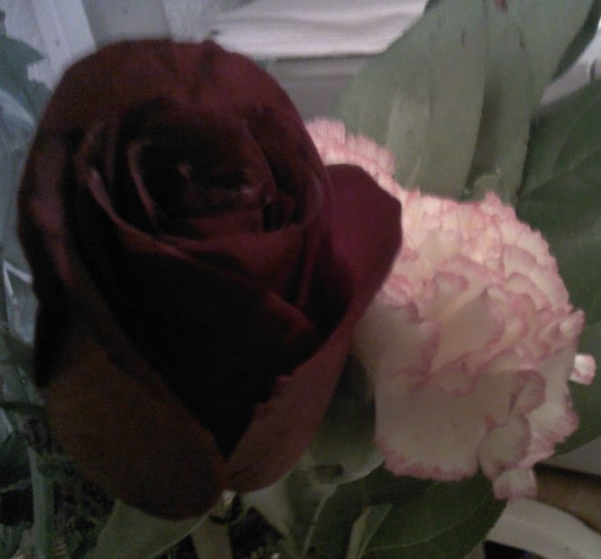 LA FRAGANCIA DEL AMOR